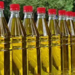 Sterole roślinne w jakich produktach - odkryj, co zawierają i jak pomagają