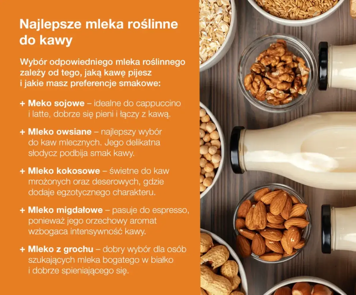 Zdjęcie Jakie mleko roślinne najsmaczniejsze? Odkryj najlepsze opcje smakowe